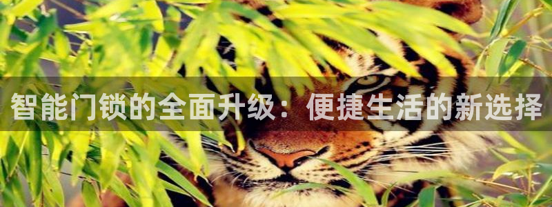 开丰娱乐测速：智能门锁的全面升级：便捷生活的新选择