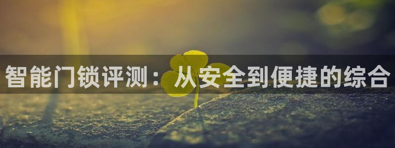 开丰娱乐登录地址入口：智能门锁评测：从安全到便捷的综合