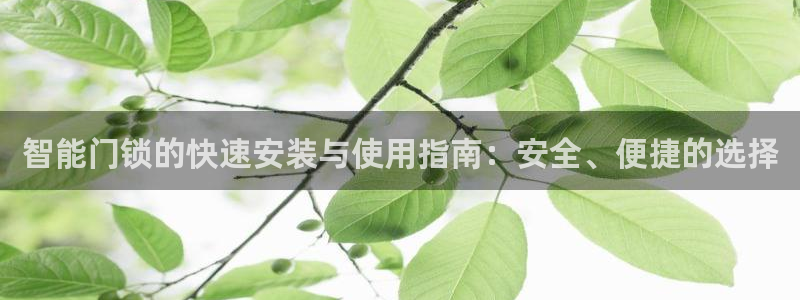 开丰娱乐官网平台：智能门锁的快速安装与使用指南：安全、便捷的