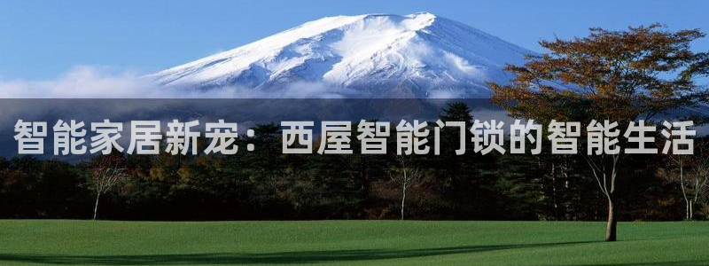 开丰娱乐主管家去判官333OO：智能家居新宠：西屋智能门锁的