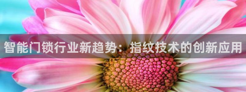 开丰娱乐登录地址入口：智能门锁行业新趋势：指纹技术的创新应用
