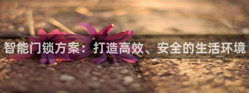 开丰娱乐网站：智能门锁方案：打造高效、安全的生活环境