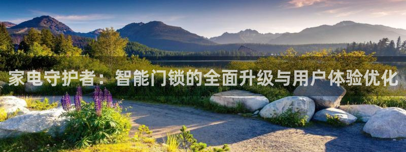 开丰娱乐线路：家电守护者：智能门锁的全面升级与用户体验优化