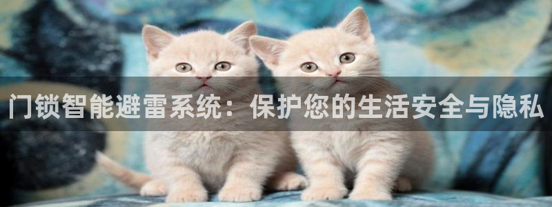 开丰娱乐咋7O777：门锁智能避雷系统：保护您的生活安全与隐