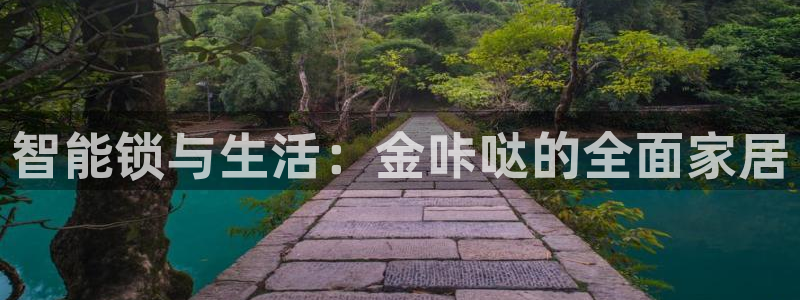 开丰娱乐官网平台登录：智能锁与生活：金咔哒的全面家居