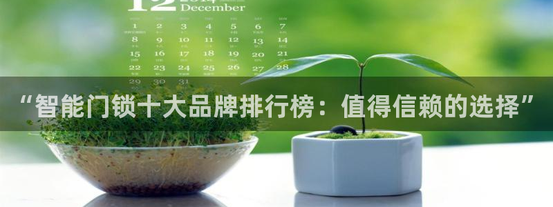 开丰娱乐登入地址在哪：“智能门锁十大品牌排行榜：值得信赖的选