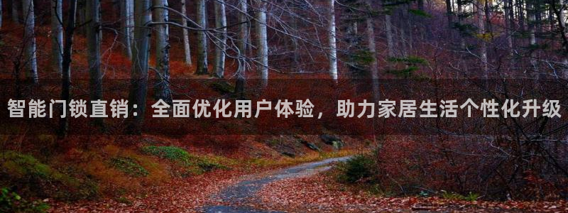 开丰娱乐后：智能门锁直销：全面优化用户体验，助力家居生活个性