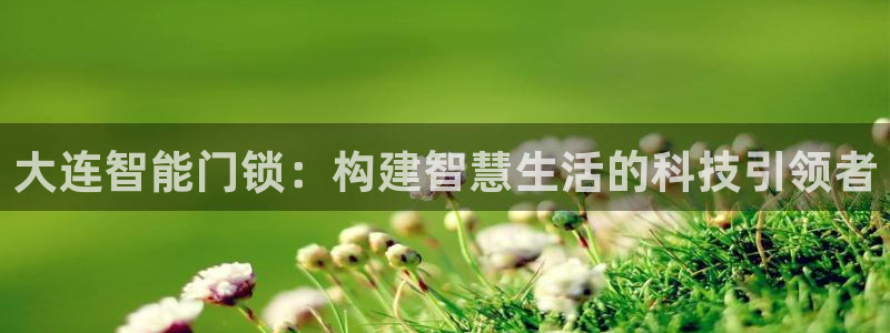 开丰娱乐手机app：大连智能门锁：构建智慧生活的科技引领者