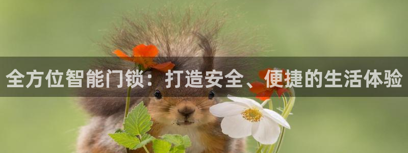 开丰娱乐：全方位智能门锁：打造安全、便捷的生活体验