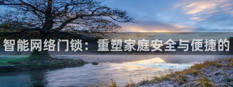 开丰娱乐网站官网下载：智能网络门锁：重塑家庭安全与便捷的