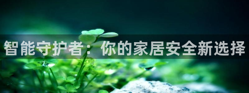 开丰娱乐地址查询：智能守护者：你的家居安全新选择