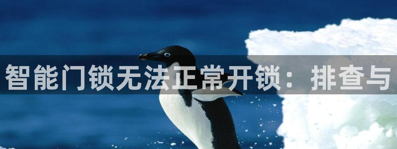 圩丰刚开的娱乐场所：智能门锁无法正常开锁：排查与