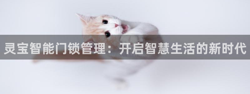 开丰娱乐万六七五一38：灵宝智能门锁管理：开启智慧生活的新时
