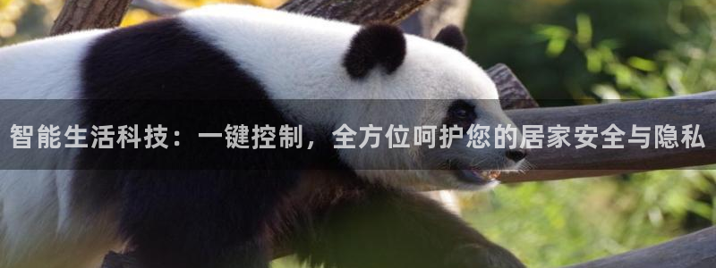 开丰娱乐月7O667：智能生活科技：一键控制，全方位呵护您的