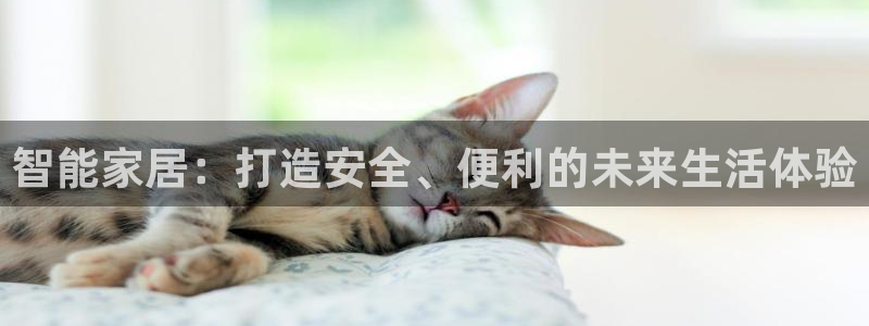 开丰娱乐 赢咖一：智能家居：打造安全、便利的未来生活体验