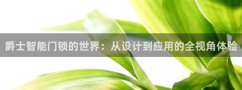 开丰娱乐官网平台电话：爵士智能门锁的世界：从设计到应用的全视