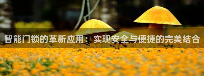 开丰娱乐会员中心：智能门锁的革新应用：实现安全与便捷的完美结