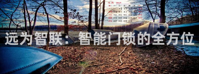 开丰娱乐注册系究耍333OO：远为智联：智能门锁的全方位