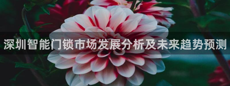 开丰娱乐测速：深圳智能门锁市场发展分析及未来趋势预测