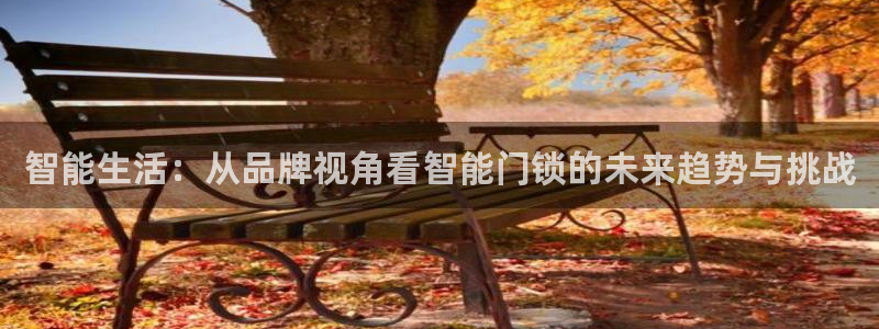 开丰娱乐天：智能生活：从品牌视角看智能门锁的未来趋势与挑战