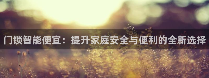 开丰娱乐不开了吗：门锁智能便宜：提升家庭安全与便利的全新选择