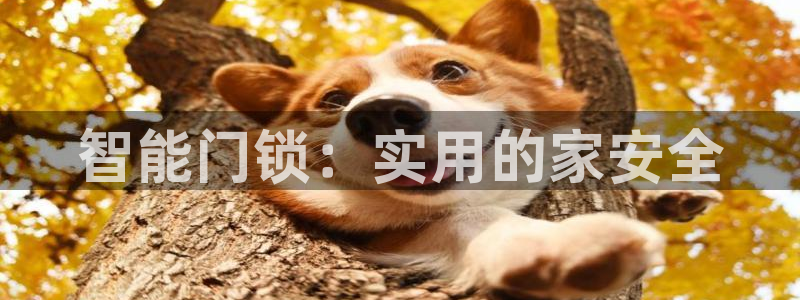 开丰娱乐巾67五壹叁八：智能门锁：实用的家安全