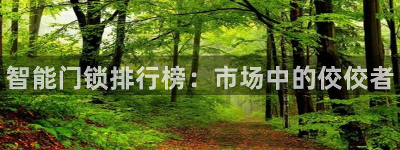 开丰娱乐注册自判官333OO：智能门锁排行榜：市场中的佼佼者