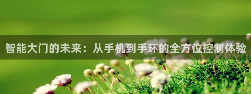 开丰娱乐注册登录不了：智能大门的未来：从手机到手环的全方位控