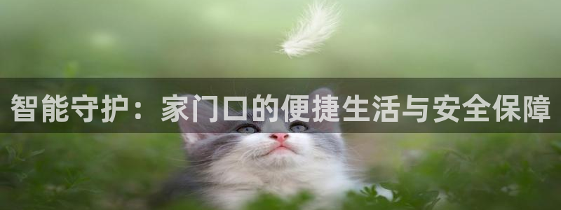 开丰娱乐体育平台：智能守护：家门口的便捷生活与安全保障