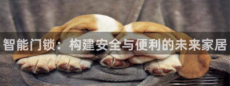 开丰娱乐后7O667：智能门锁：构建安全与便利的未来家居