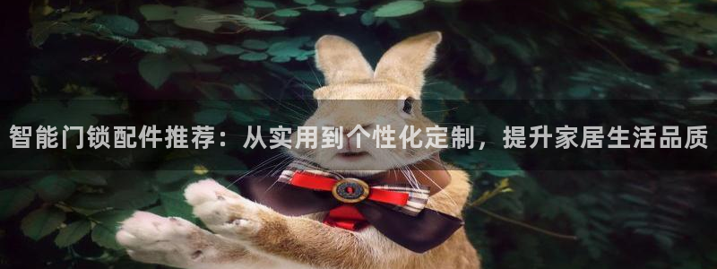 开丰娱乐网站官网：智能门锁配件推荐：从实用到个性化定制，提升