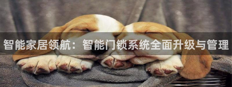 开丰娱乐主管家去判官333OO：智能家居领航：智能门锁系统全