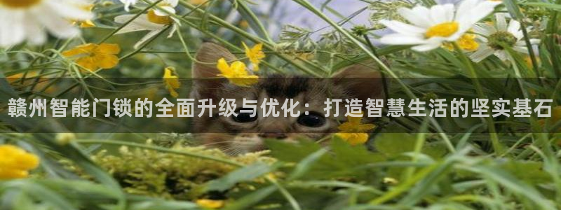 开丰娱乐下7O667：赣州智能门锁的全面升级与优化：打造智慧