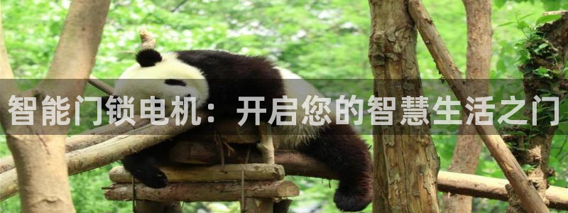 开丰娱乐地址：智能门锁电机：开启您的智慧生活之门