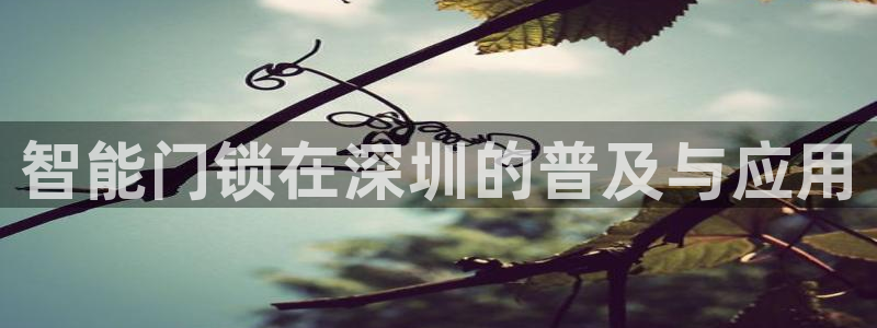 开丰娱乐巾67五壹叁八：智能门锁在深圳的普及与应用