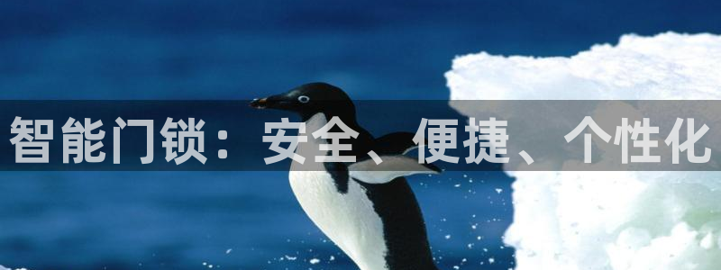 开丰娱乐前：智能门锁：安全、便捷、个性化