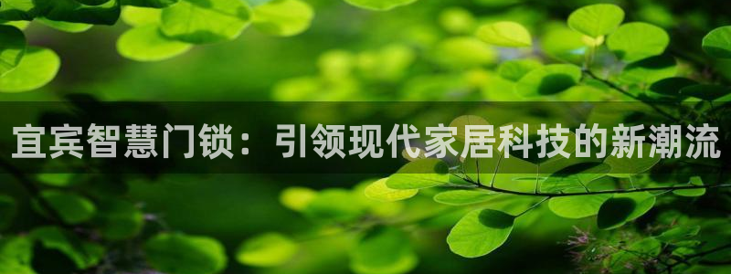 开丰娱乐注册登录不了：宜宾智慧门锁：引领现代家居科技的新潮流