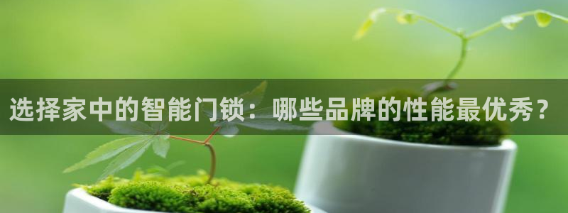 开丰娱乐官网招聘