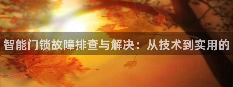 开丰娱乐注册资金多少：智能门锁故障排查与解决：从技术到实用的