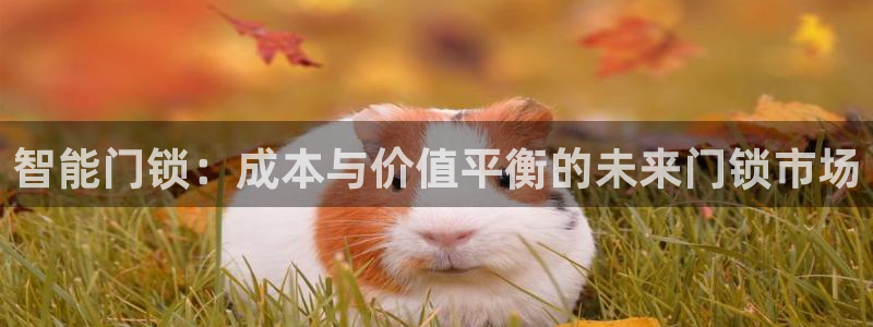 开丰娱乐 赢咖一