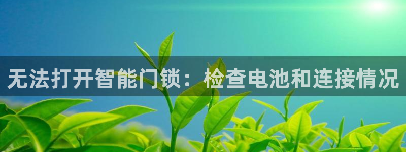 开丰娱乐右7O667：无法打开智能门锁：检查电池和连接情况