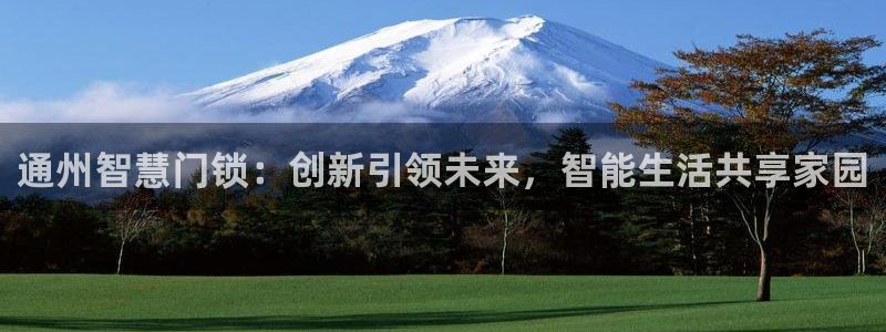 开丰娱乐与六七五一38：通州智慧门锁：创新引领未来，智能生活