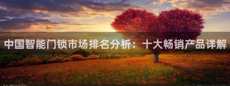 开丰娱乐平台提现失败：中国智能门锁市场排名分析：十大畅销产品
