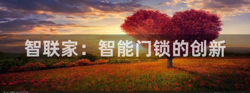 开丰娱乐网址：智联家：智能门锁的创新