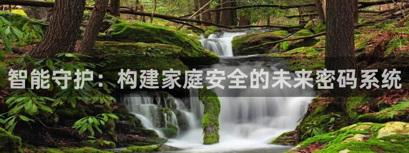 开丰娱乐主管：智能守护：构建家庭安全的未来密码系统