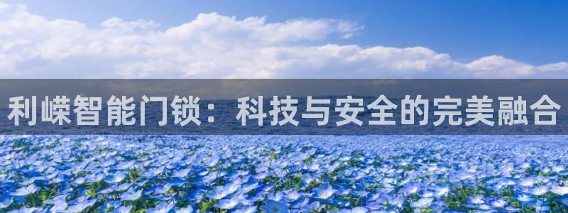 开丰娱乐会员中心：利嵘智能门锁：科技与安全的完美融合