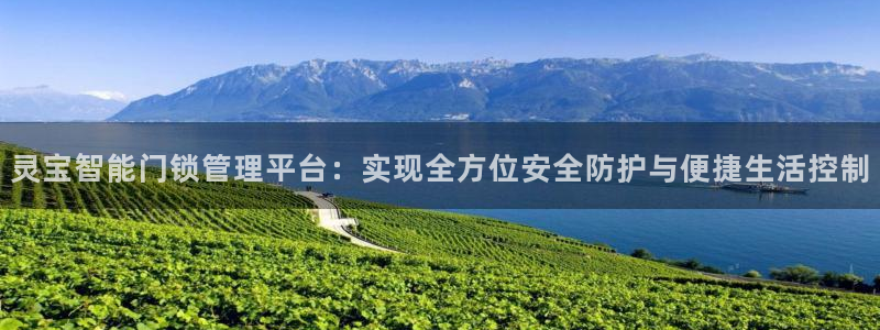 开丰娱乐登入地址在哪儿：灵宝智能门锁管理平台：实现全方位安全
