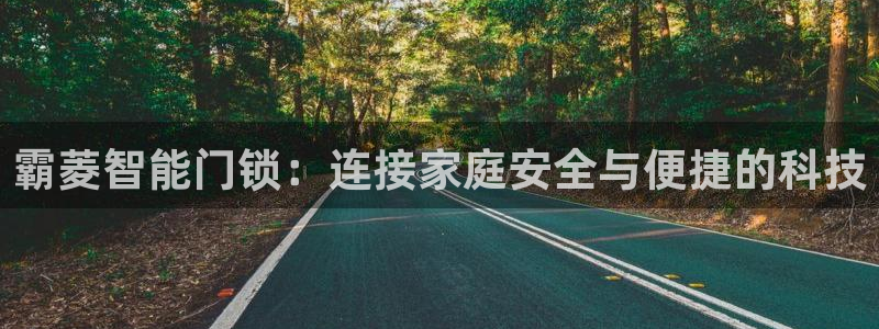 开丰娱乐优七九九47：霸菱智能门锁：连接家庭安全与便捷的科技