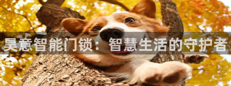 开丰娱乐平台注册：昊意智能门锁：智慧生活的守护者