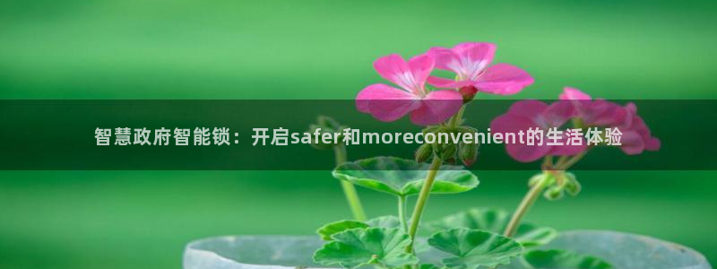 开丰娱乐天富娱乐：智慧政府智能锁：开启safer和morec